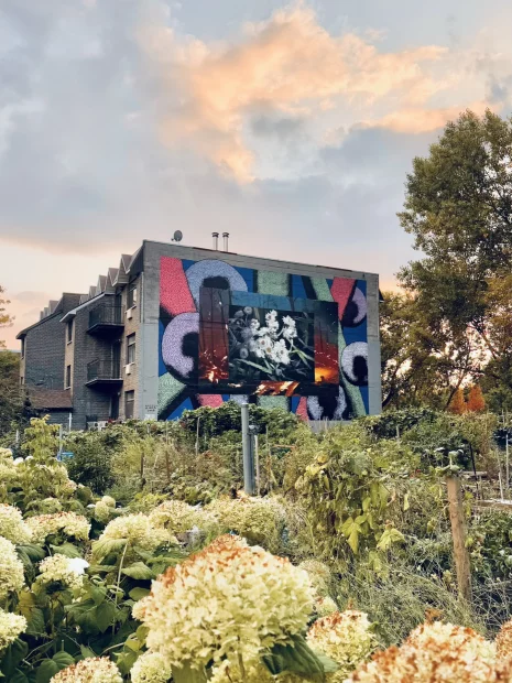 Bryan et Mack 2025 Milmurs production, Street-art, Martinique, Montréal