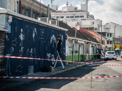 Milmurs production, Street-art, Martinique, Montréal, Delphyne V - festival fort de france 2019