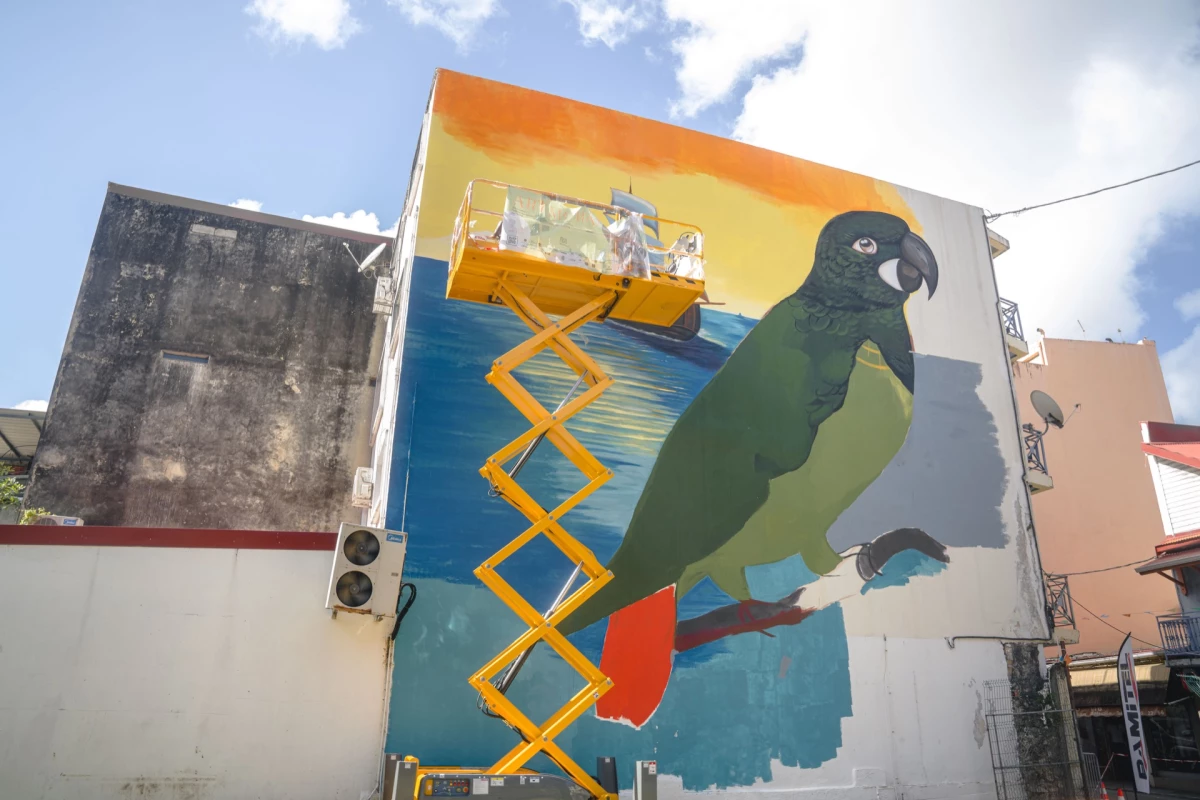 Milmurs production, Street-art, Martinique, Montréal, Doudou Style - festival martinique 2022