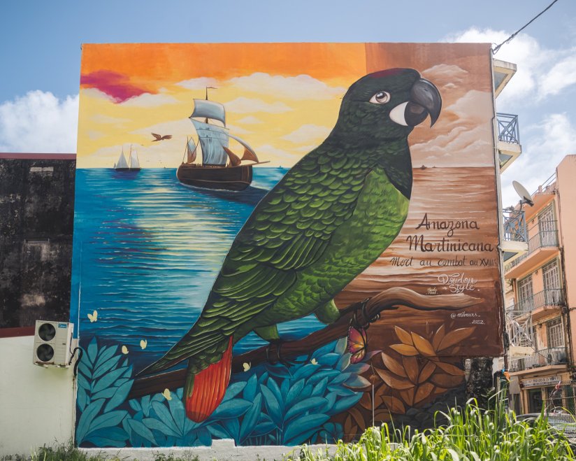 Milmurs production, Street-art, Martinique, Montréal, Réalisations