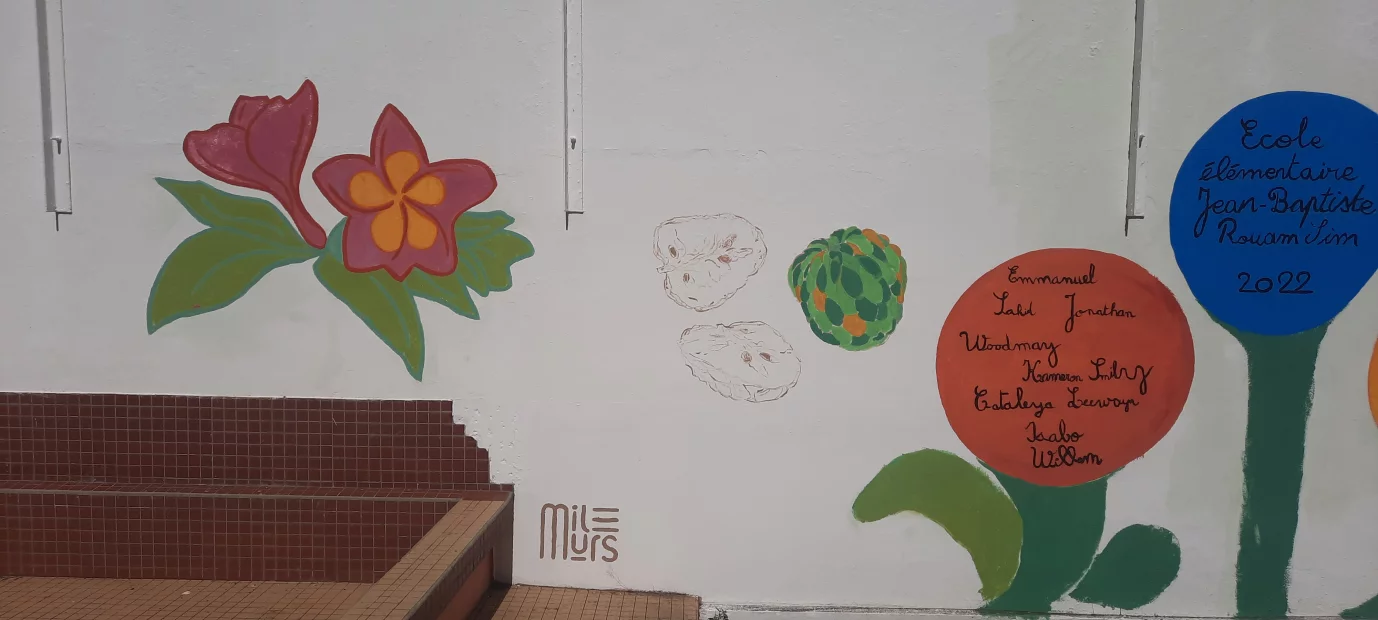 Ecole Rouamsim Milmurs production, Street-art, Martinique, Montréal