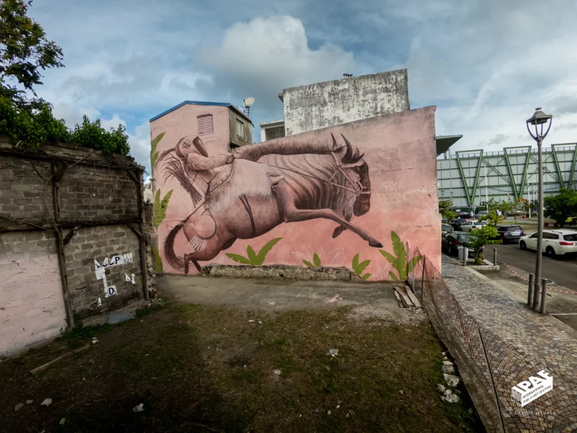 La première édition du Festival Milmurs à Fort-de-France a transformé le centre ville et le quartier des Terres Sainville, en un véritable musée à ciel ouvert.